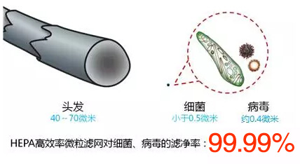 污染物細(xì)菌 污染物細(xì)菌